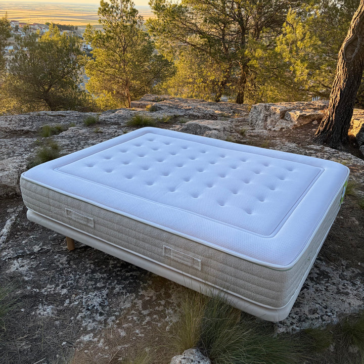 Matratze Cotton Seasons Ecus