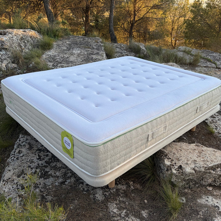 Matratze Cotton Seasons Ecus