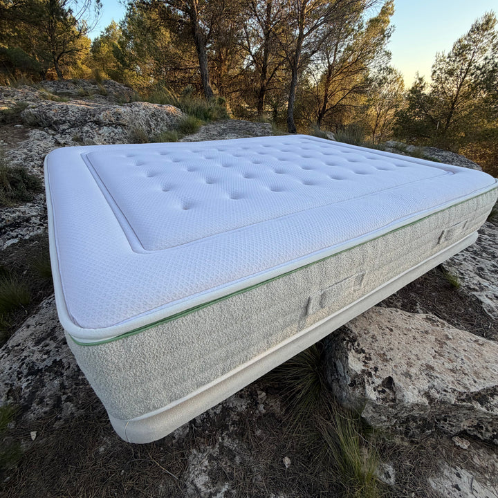 Matratze Cotton Seasons Ecus