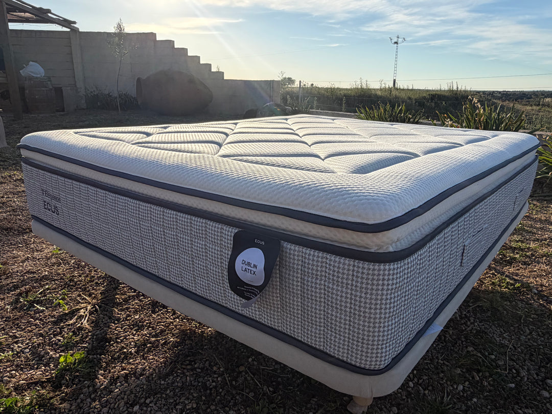 Ecus Cotton Latex Mattress
