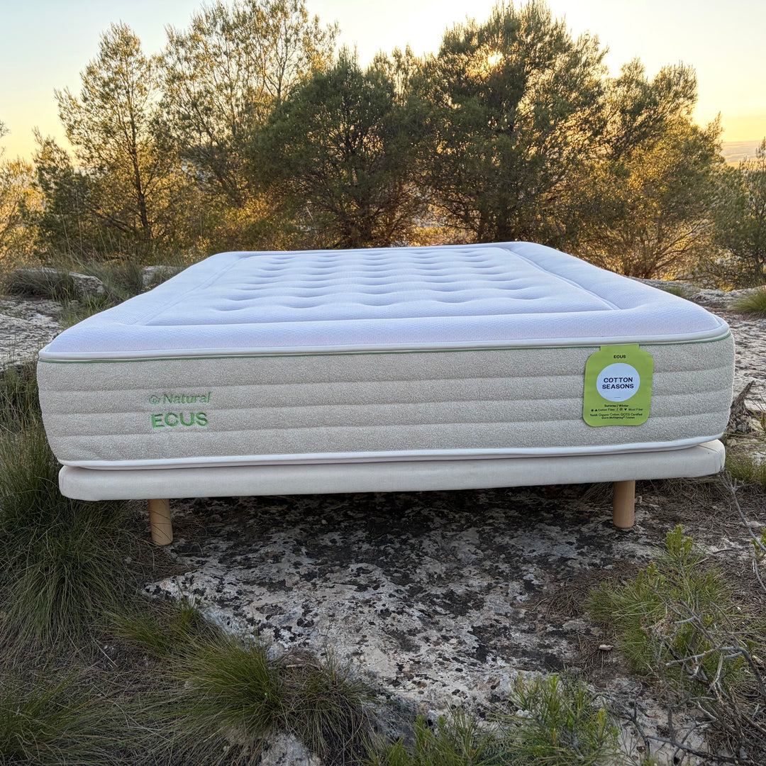 Matratze Cotton Seasons Ecus