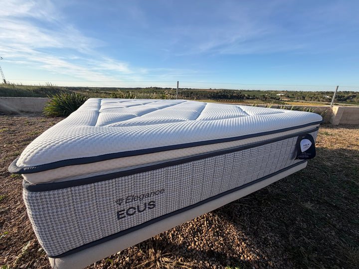 Ecus Cotton Latex Mattress