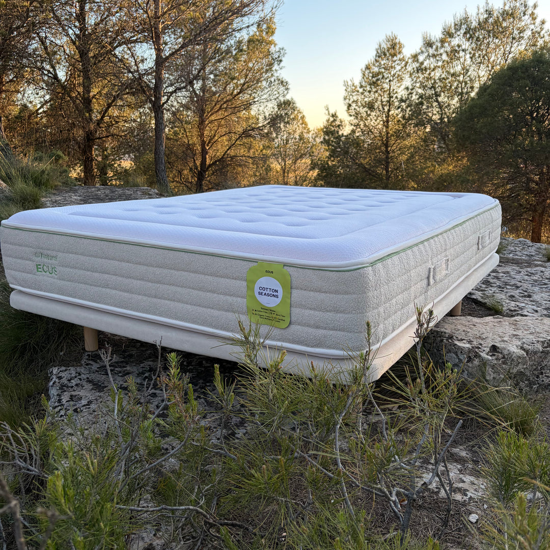 Matratze Cotton Seasons Ecus