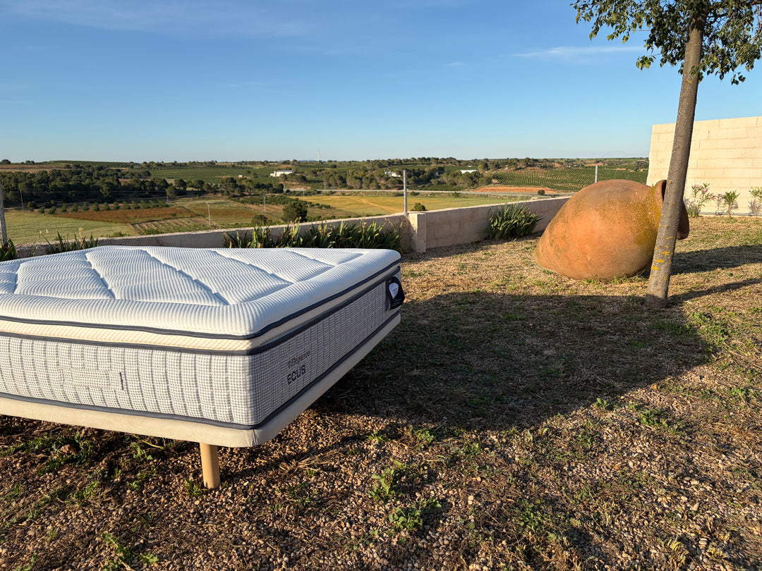 Ecus Cotton Latex Mattress