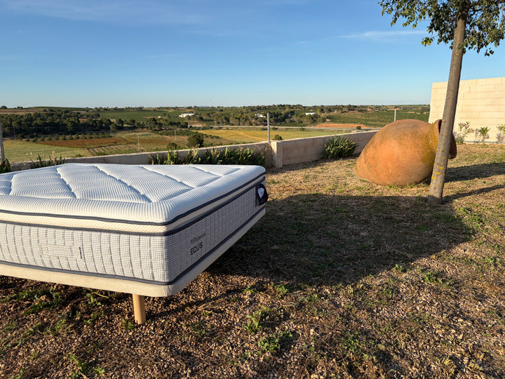 Ecus Cotton Latex Mattress