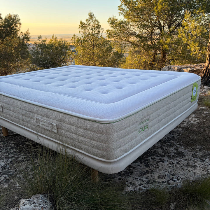 Matratze Cotton Seasons Ecus