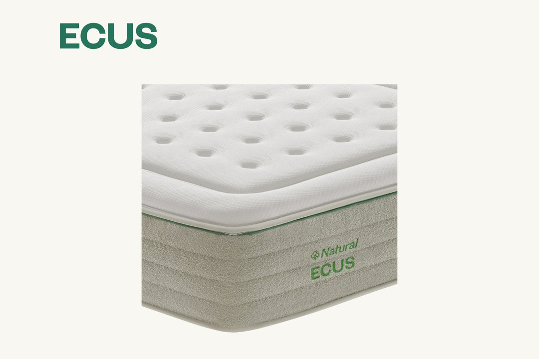 Matratze Cotton Smooth Ecus